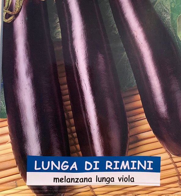 MELANZANA violetta lunga di Rimini