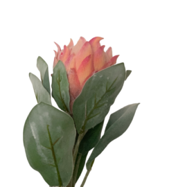 Fiore artificiale Protea h 70 EDG
