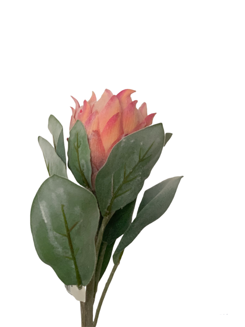 Fiore artificiale Protea h 70 EDG