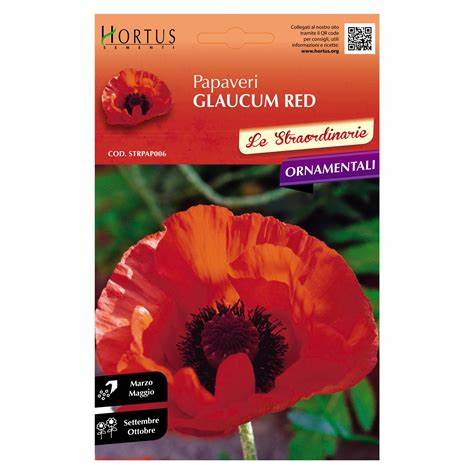 Papaveri GLAUCUM RED pianta perenne
